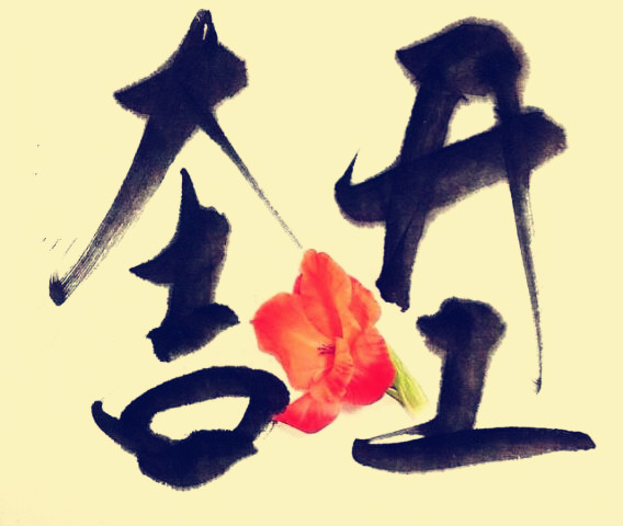 駿業(yè)包裝開工大吉！